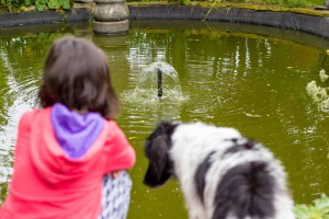 Sinne met gast aan het water